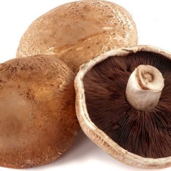 000267-champignons-portobello.jpg